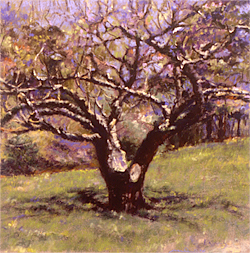 As I Wish pastel painting by Maria Yu