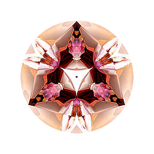 snowball mandala