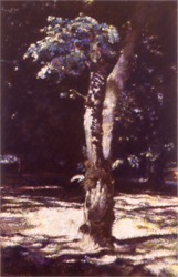 Center Stage pastel painting by Maria Yu Center Stage pastel painting by Maria Yu